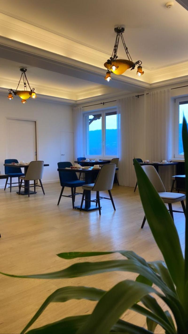 Hotel Le Bellevue Les Roches-de-Condrieu Zewnętrze zdjęcie
